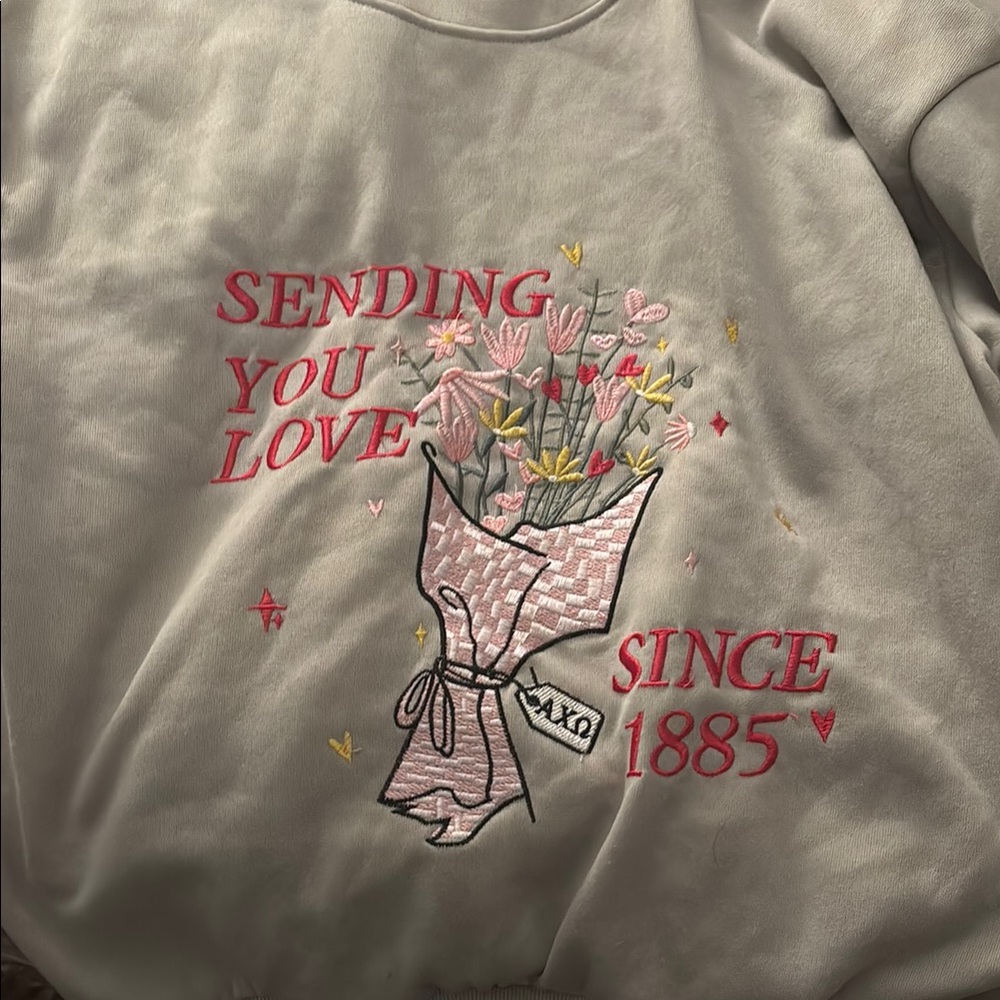 Sending you love hoodie